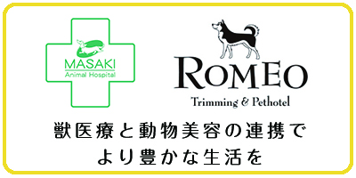 住み続けられるまちづくりを_2