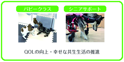 すべての人に健康と福祉を_1