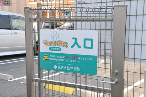 ドッグラン