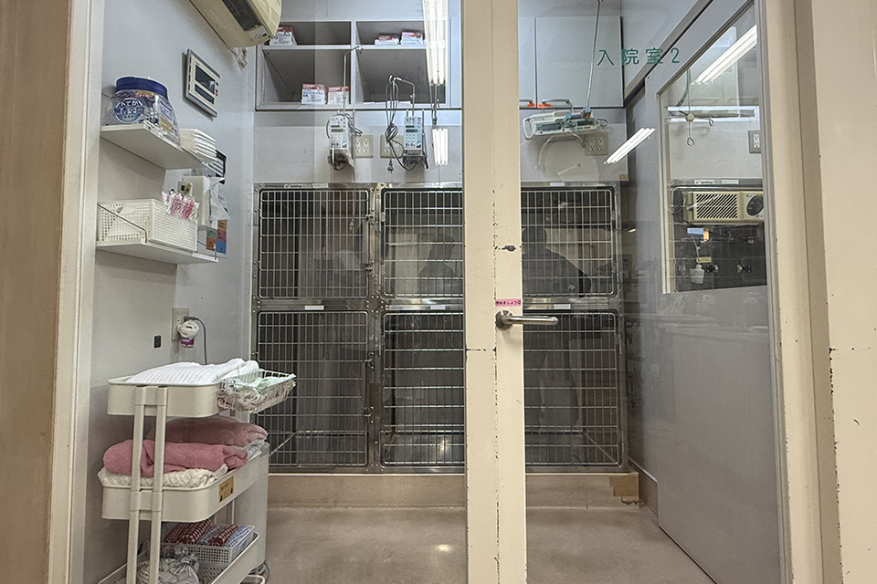 猫舎