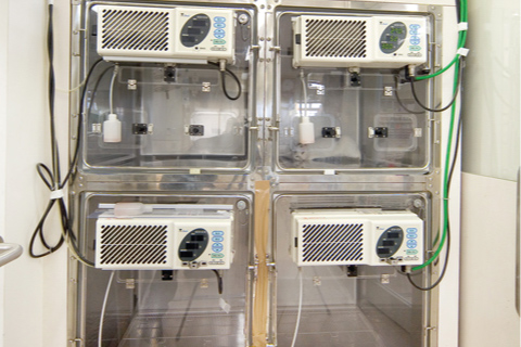 ICU(Intensive Care Unit:集中治療室)