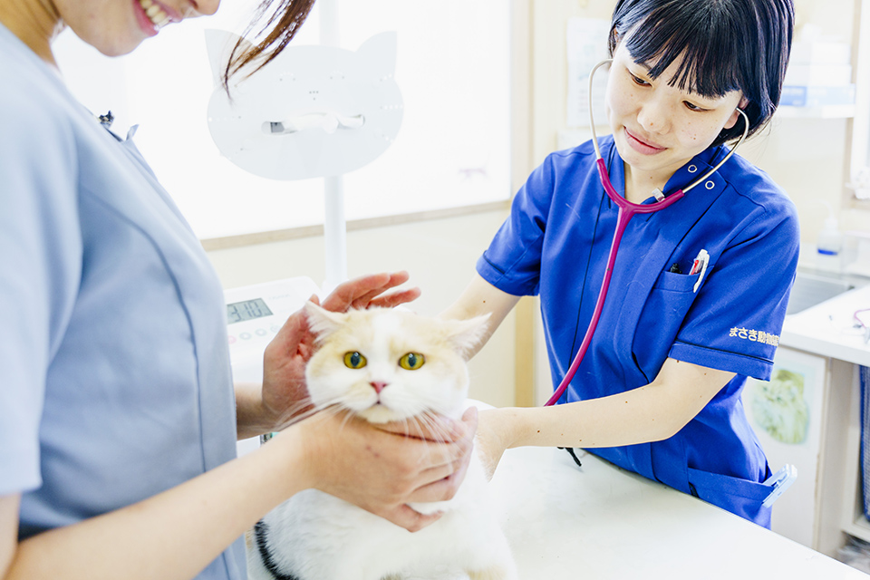 診察の様子03