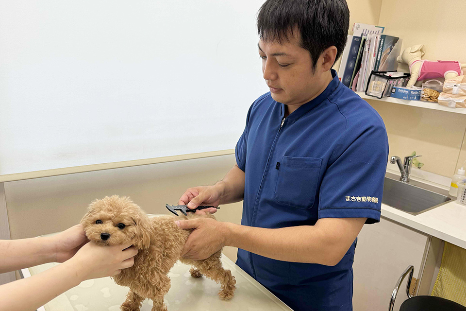 診察開始