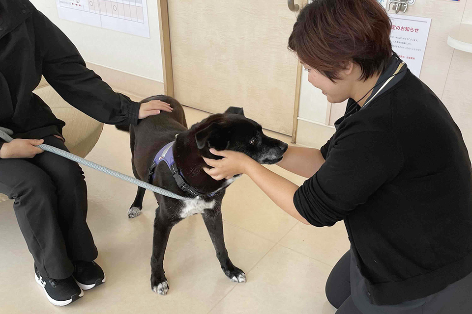 私たちの行動理念